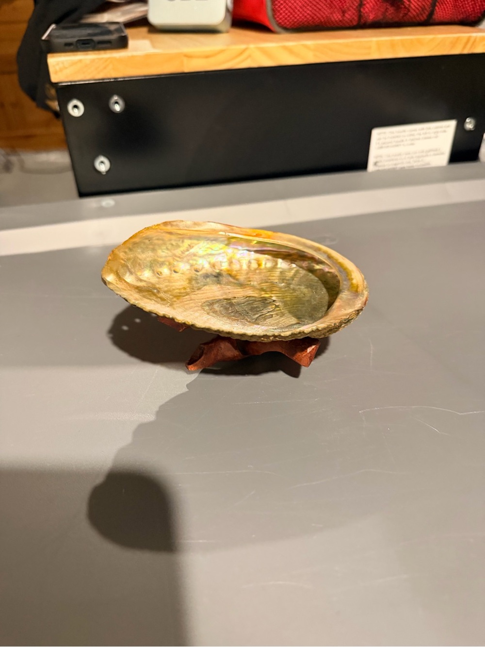 Shell Decorative Bowl - Iridescent